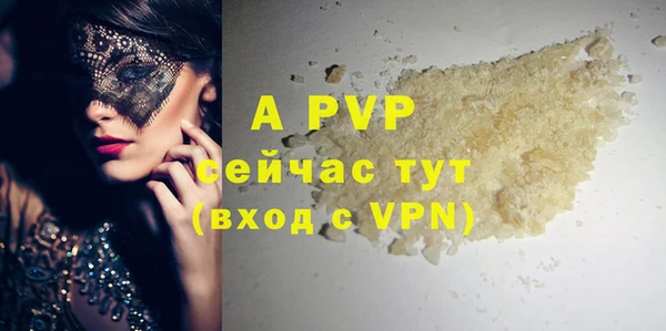 PSILOCYBIN Майский