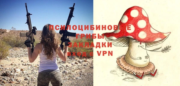 PSILOCYBIN Майский