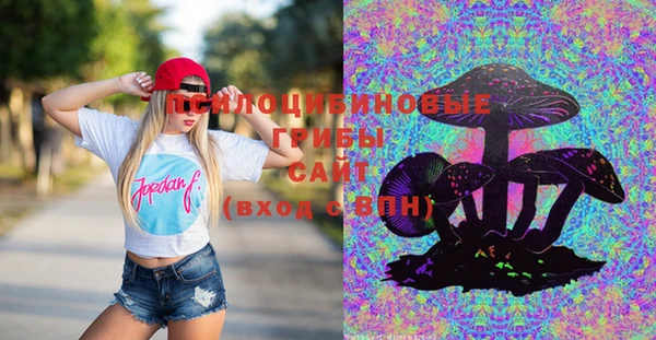 PSILOCYBIN Майский