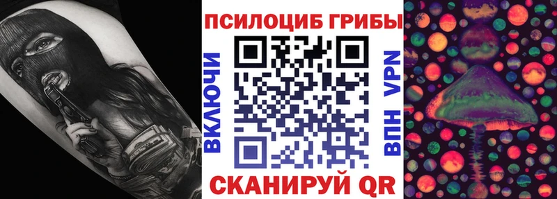 купить   Новочебоксарск  Псилоцибиновые грибы Psilocybe 
