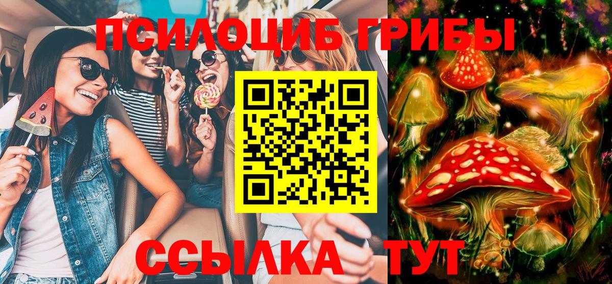Галлюциногенные грибы мицелий Новочебоксарск