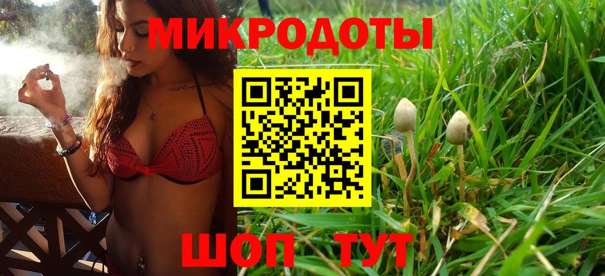 Новочебоксарск  Галлюциногенные грибы Cubensis  Вход с VPN 